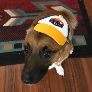 Meet your Posher, Gracie